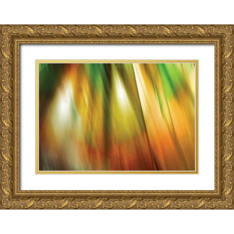 Tie Dye II Gold Ornate Wood Framed Art Print with Double Matting by PI Studio