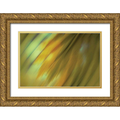 Tie Dye III Gold Ornate Wood Framed Art Print with Double Matting by PI Studio