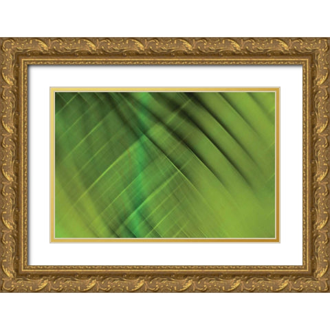 Tie Dye IV Gold Ornate Wood Framed Art Print with Double Matting by PI Studio