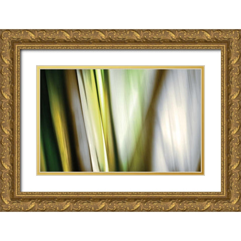 Organic II Gold Ornate Wood Framed Art Print with Double Matting by PI Studio