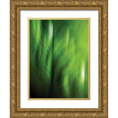 Organic V Gold Ornate Wood Framed Art Print with Double Matting by PI Studio
