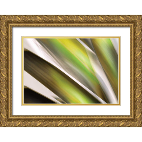 Organic VI Gold Ornate Wood Framed Art Print with Double Matting by PI Studio