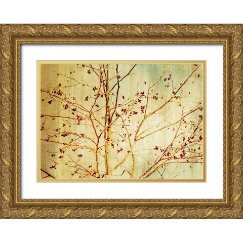 Etched Gold Ornate Wood Framed Art Print with Double Matting by PI Studio