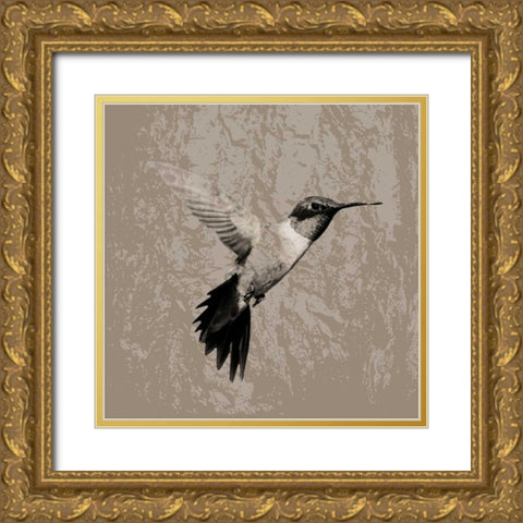 Feathered I Gold Ornate Wood Framed Art Print with Double Matting by PI Studio