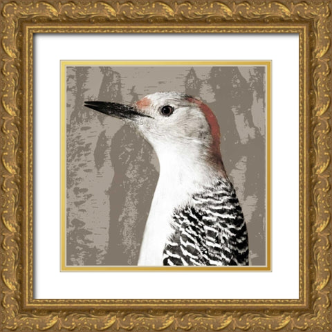 Feathered IV Gold Ornate Wood Framed Art Print with Double Matting by PI Studio