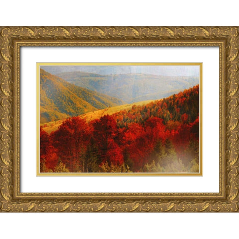 Crimson Country Gold Ornate Wood Framed Art Print with Double Matting by PI Studio