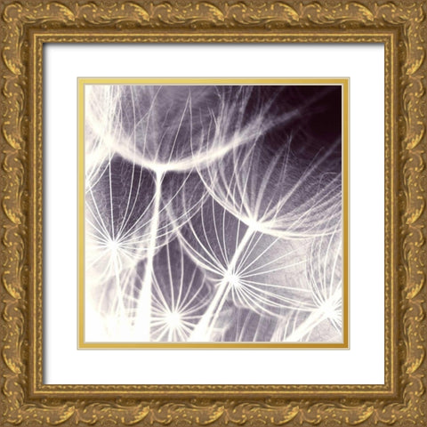 Blown Away Gold Ornate Wood Framed Art Print with Double Matting by PI Studio
