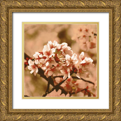 Posy Gold Ornate Wood Framed Art Print with Double Matting by PI Studio