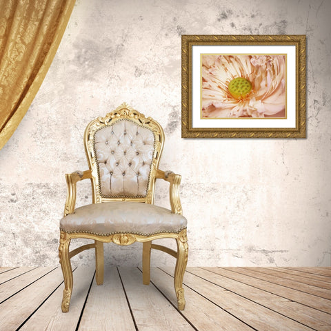 Peaches and Cream Gold Ornate Wood Framed Art Print with Double Matting by PI Studio