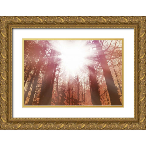 Sun Dance Gold Ornate Wood Framed Art Print with Double Matting by PI Studio