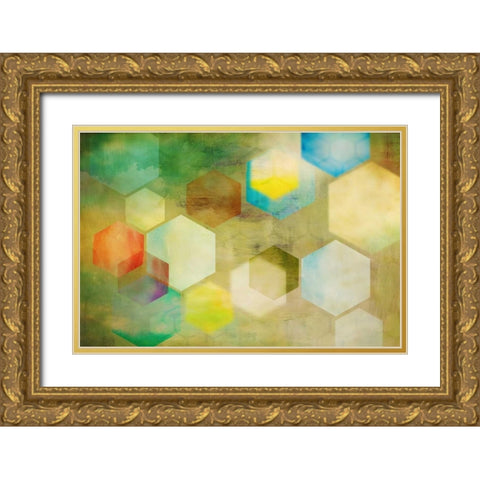 Honeycomb II Gold Ornate Wood Framed Art Print with Double Matting by PI Studio