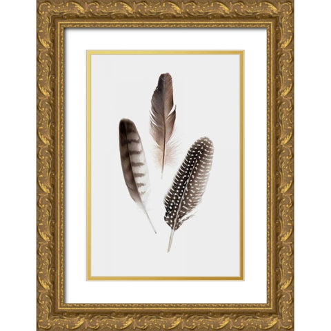 Feathers I Gold Ornate Wood Framed Art Print with Double Matting by PI Studio