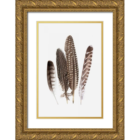 Feathers II Gold Ornate Wood Framed Art Print with Double Matting by PI Studio