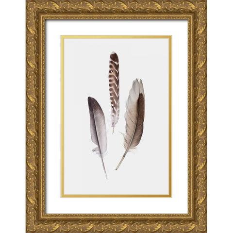 Feathers III Gold Ornate Wood Framed Art Print with Double Matting by PI Studio