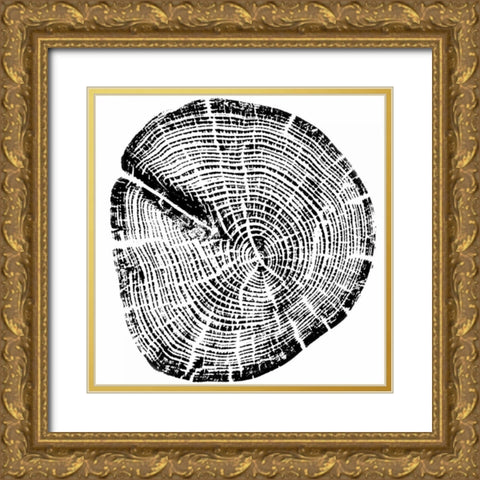 Wood Grain Gold Ornate Wood Framed Art Print with Double Matting by PI Studio