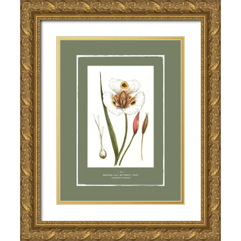 Green Botanics I  Gold Ornate Wood Framed Art Print with Double Matting by PI Studio