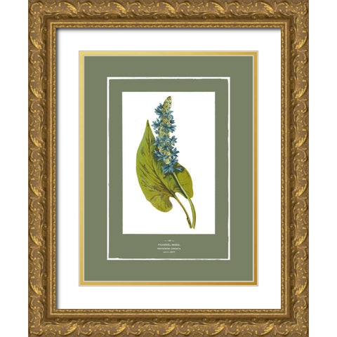 Green Botanics II Gold Ornate Wood Framed Art Print with Double Matting by PI Studio