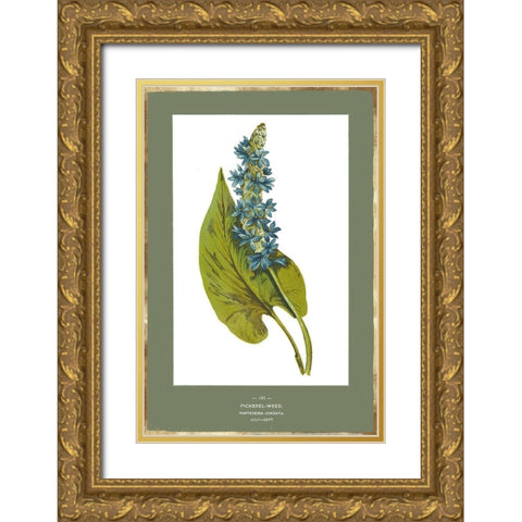 Green Botanics V Gold Ornate Wood Framed Art Print with Double Matting by PI Studio