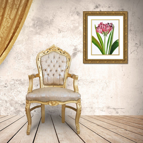 Blooming Pink Gold Ornate Wood Framed Art Print with Double Matting by Pi Studio