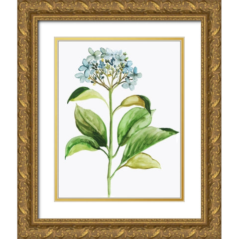Little Hydrangea Gold Ornate Wood Framed Art Print with Double Matting by Pi Studio