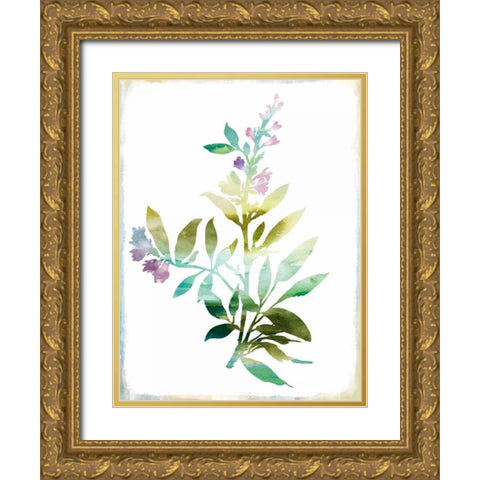 Summer Botanical III Gold Ornate Wood Framed Art Print with Double Matting by PI Galerie