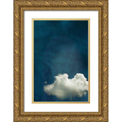 Cloudy Chance I  Gold Ornate Wood Framed Art Print with Double Matting by PI Studio