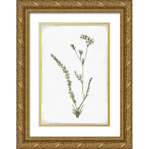 Little Flower I Gold Ornate Wood Framed Art Print with Double Matting by Pi Studio