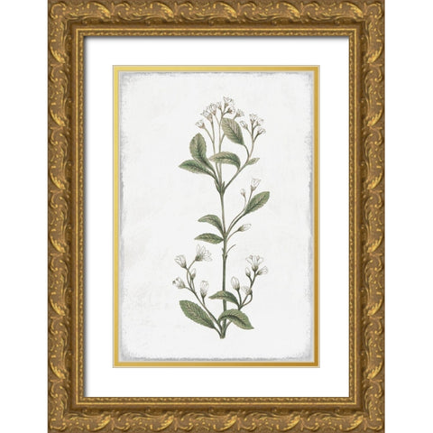 Little Flower II Gold Ornate Wood Framed Art Print with Double Matting by Pi Studio