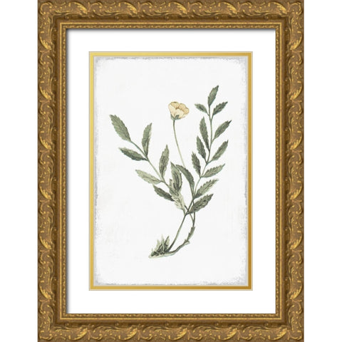 Little Flower III Gold Ornate Wood Framed Art Print with Double Matting by Pi Studio