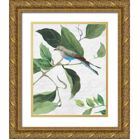 Spring Bird I Gold Ornate Wood Framed Art Print with Double Matting by PI Studio