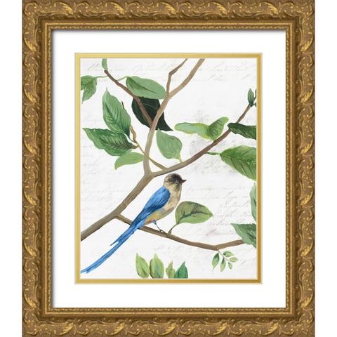 Spring Bird II Gold Ornate Wood Framed Art Print with Double Matting by PI Studio