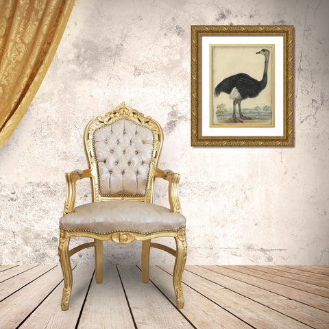 The Ostrich  Gold Ornate Wood Framed Art Print with Double Matting by PI Collection