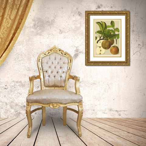 Russet Apples I Gold Ornate Wood Framed Art Print with Double Matting by PI Collection