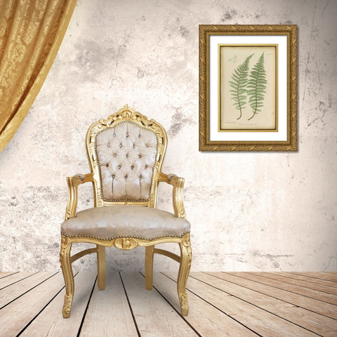 Lastrea Felix Gold Ornate Wood Framed Art Print with Double Matting by PI Collection