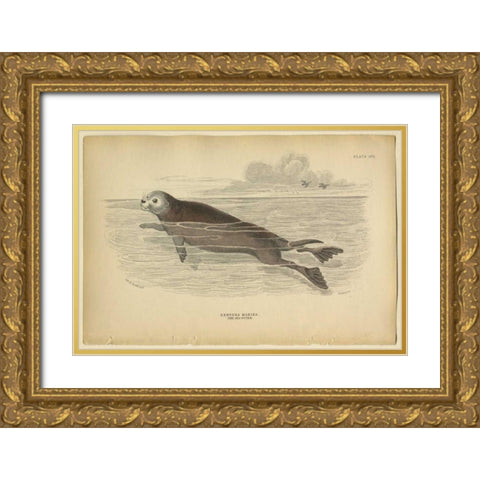 Sea Otter Gold Ornate Wood Framed Art Print with Double Matting by PI Collection