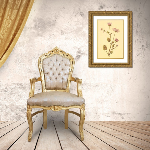 Abronia Turbinata Gold Ornate Wood Framed Art Print with Double Matting by PI Collection
