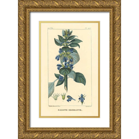 Ballote Oderante Gold Ornate Wood Framed Art Print with Double Matting by PI Collection