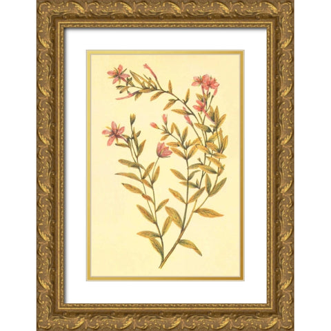 Broad Leaved Fireweed Gold Ornate Wood Framed Art Print with Double Matting by PI Collection