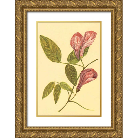 Butterfly Pea Gold Ornate Wood Framed Art Print with Double Matting by PI Collection