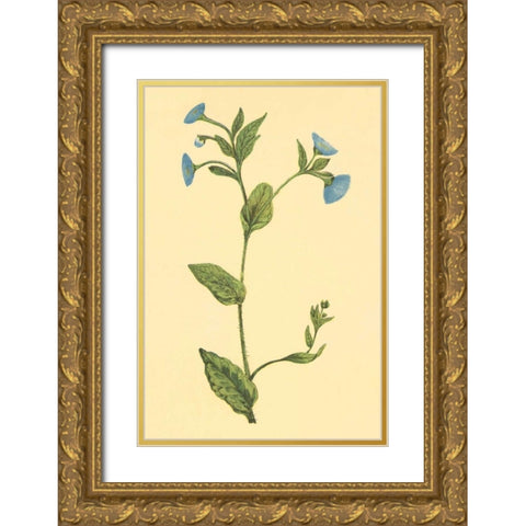 Common Fleabean Gold Ornate Wood Framed Art Print with Double Matting by PI Collection