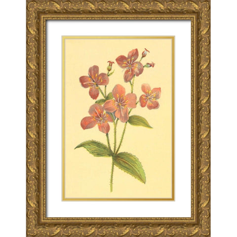 Deer Grass and Meadow Beauty Gold Ornate Wood Framed Art Print with Double Matting by PI Collection