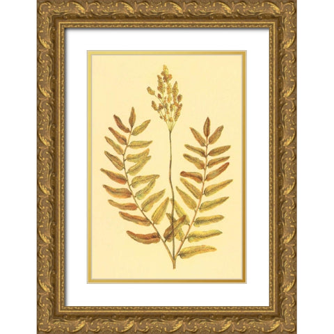 Flowering Fern Gold Ornate Wood Framed Art Print with Double Matting by PI Collection