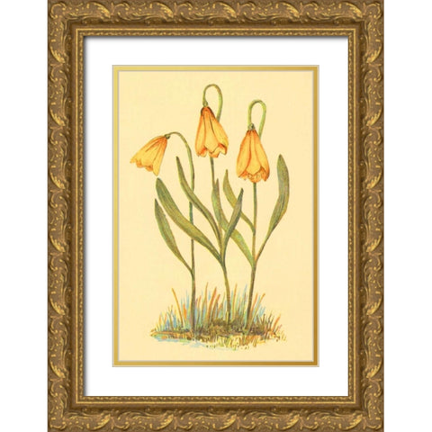 Fritillary Gold Ornate Wood Framed Art Print with Double Matting by PI Collection