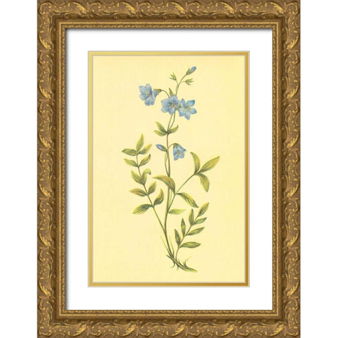 Greek Valerian Gold Ornate Wood Framed Art Print with Double Matting by PI Collection