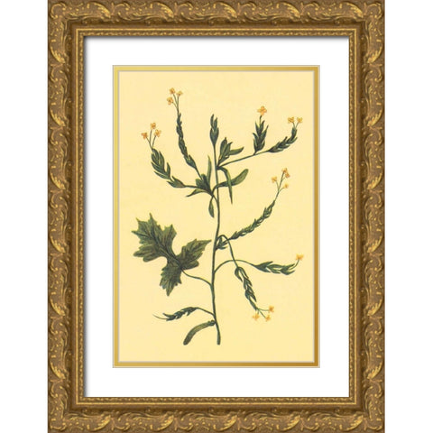 Hedge Mustard Gold Ornate Wood Framed Art Print with Double Matting by PI Collection