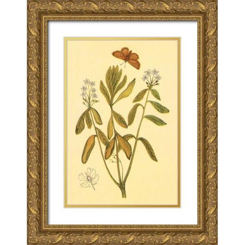 Labrador Tea Gold Ornate Wood Framed Art Print with Double Matting by PI Collection