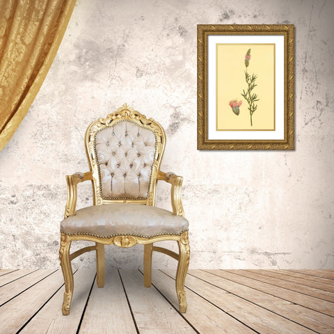 Praire Clover Gold Ornate Wood Framed Art Print with Double Matting by PI Collection