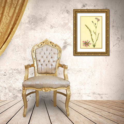 Purplish Horkelia Gold Ornate Wood Framed Art Print with Double Matting by PI Collection