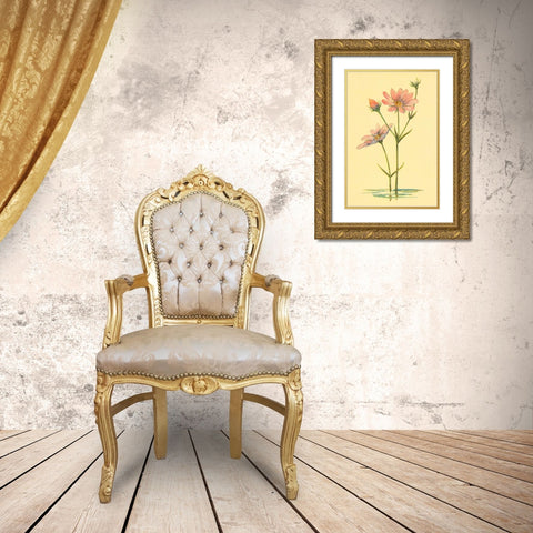 Sea Pink Gold Ornate Wood Framed Art Print with Double Matting by PI Collection