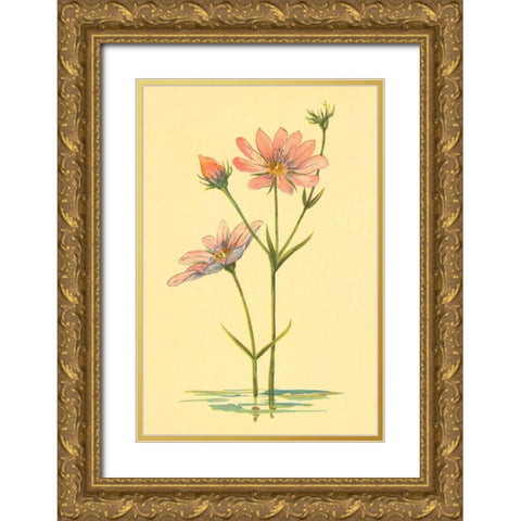 Sea Pink Gold Ornate Wood Framed Art Print with Double Matting by PI Collection